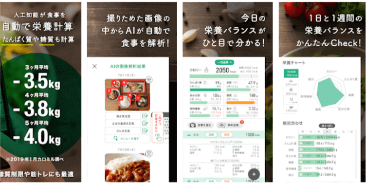カロミルサービス説明